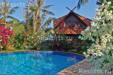 Coconut Laguna 7